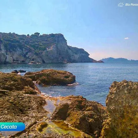 Bluponza Case Rosa Ponza